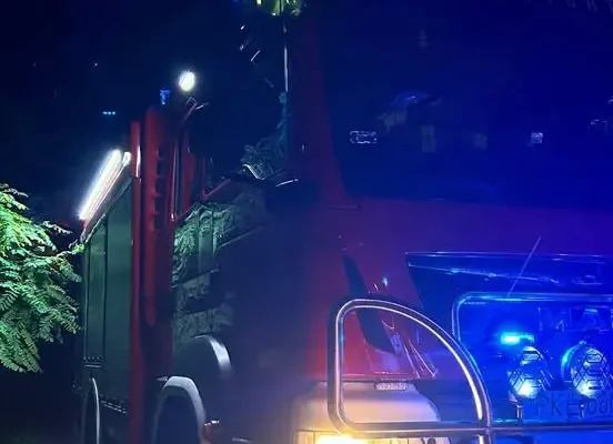 Powalone drzewo zablokowało drogę w Głuszynie – interwencja OSP