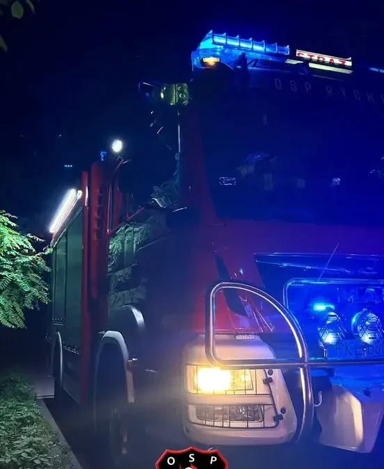 Powalone drzewo zablokowało drogę w Głuszynie – interwencja OSP