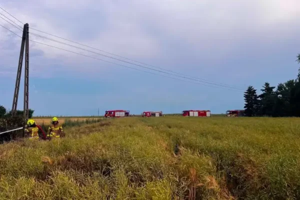 Pożar traw i zboża w Bralinie – interweniowały cztery zastępy straży