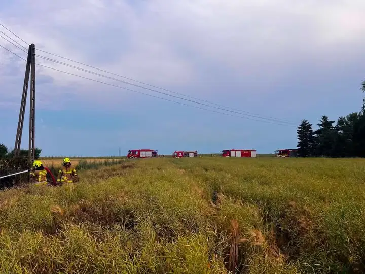 Pożar traw i zboża w Bralinie – interweniowały cztery zastępy straży