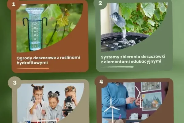 Nawet 100 tys. zł dotacji na Ekologiczną Klasę – ruszył nabór wniosków