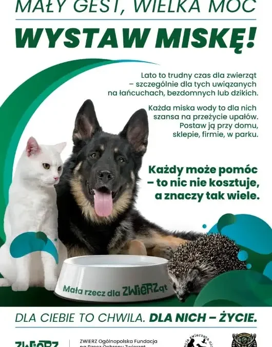 Upały zagrażają zwierzętom – wystaw miskę z wodą!