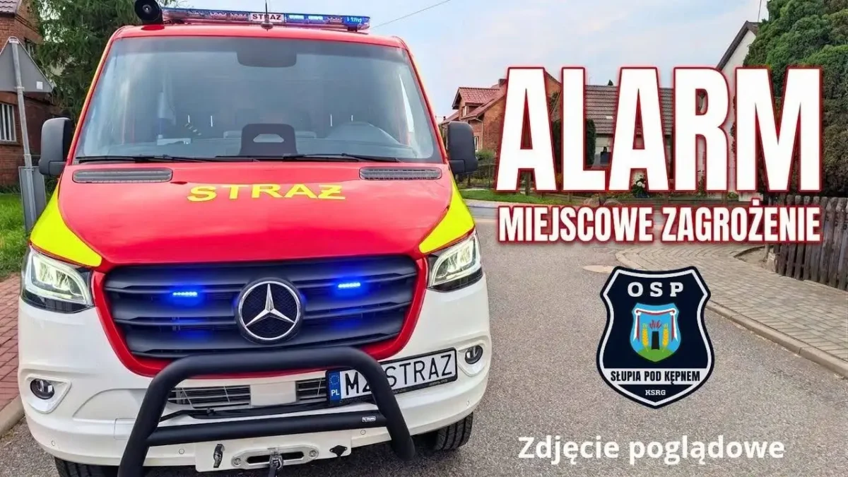 Drzewo na drodze Słupia pod Kępnem – Joanka. Interweniowali strażacy