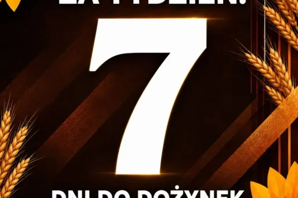Gminne Dożynki 2026 w Darnowcu już za tydzień – wystąpią Modrzewiacy i LA MARO