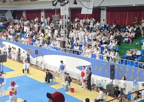 Srebrny medal Polki na Mistrzostwach Świata w Taekwon-do w Seulu