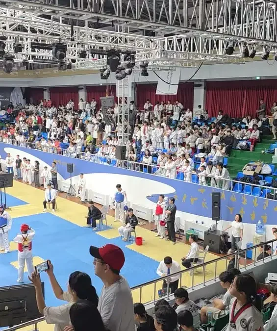 Srebrny medal Polki na Mistrzostwach Świata w Taekwon-do w Seulu