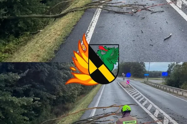 Brzezie: Strażacy usuwają powalone drzewo z jezdni