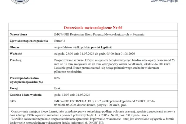 Ostrzeżenie IMGW: burze drugiego stopnia w nocy z 31 lipca na 1 sierpnia