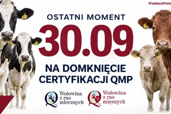 Certyfikat QMP – zostały tylko dwa dni na jego uzyskanie