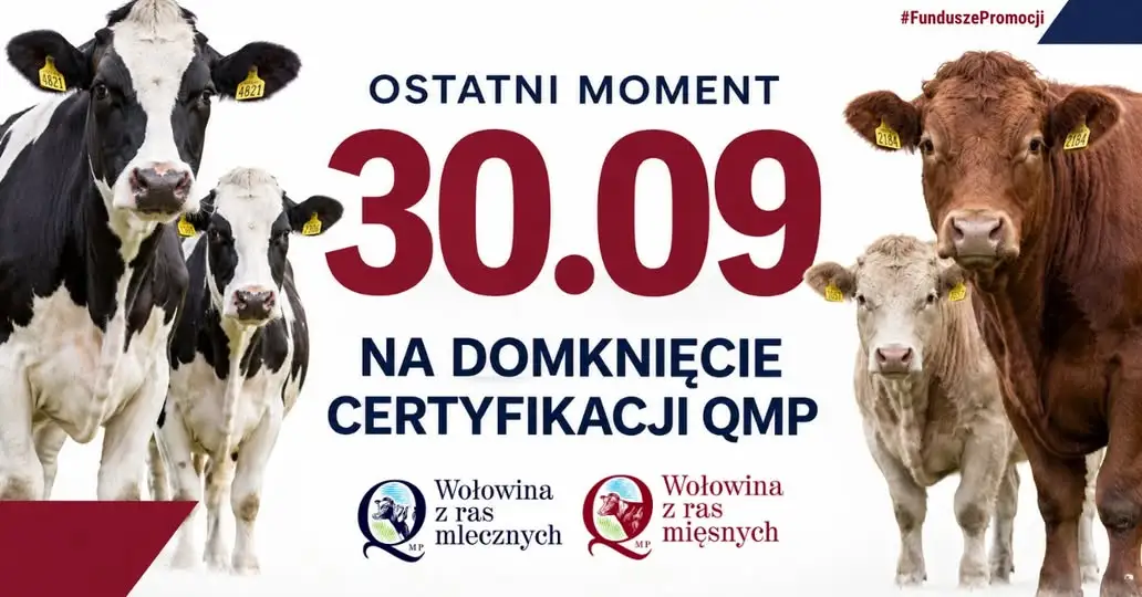 Certyfikat QMP – zostały tylko dwa dni na jego uzyskanie