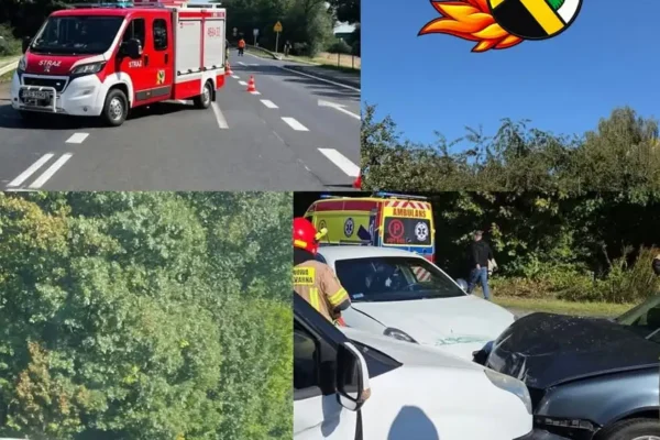 Zderzenie trzech pojazdów na drodze 482 w Brzeziu — akcja strażaków z OSP Perzów