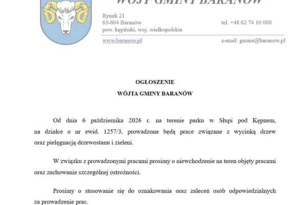 Wycinka drzew w parku w Słupi pod Kępnem – Wójt Gminy Baranów informuje o pracach