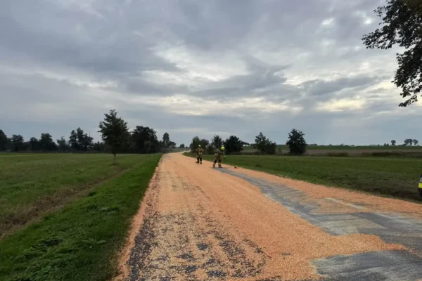 Rozsypana kukurydza na drodze w Mnichowicach – akcja trzech jednostek OSP