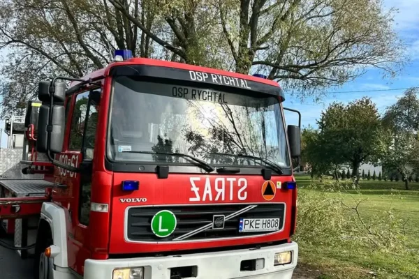 Trzy interwencje OSP Rychtal: kot na słupie, NZK i złamany konar